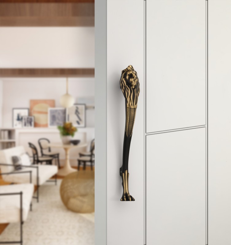 Main Door Handle DMD 283
